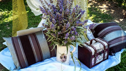A civil ceremony in the Villa Irini