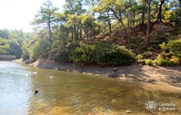 Rodos, Symbolic ceremony, Lake in the forest