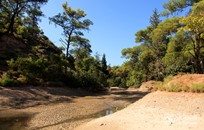 Rodos, Symbolic ceremony, Lake in the forest