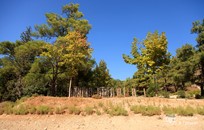 Rodos, Symbolic ceremony, Lake in the forest