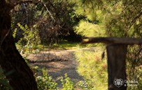 Rodos, Symbolic ceremony, Lake in the forest