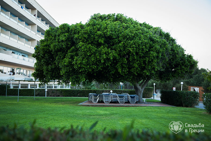 9293-beleontoursgreeceweddingrodosblueseahotel-11.jpg